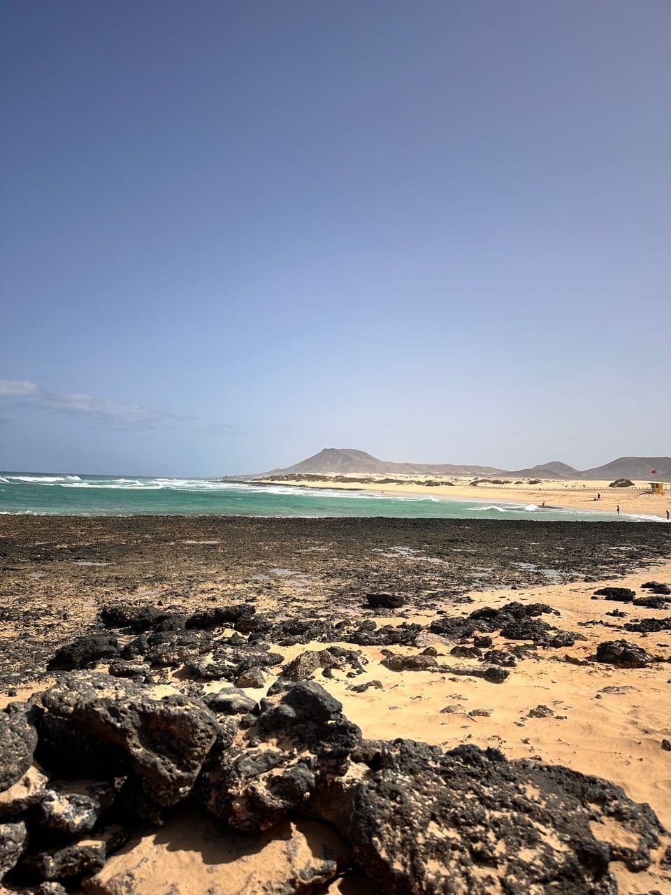 UNA TERRA PIENA DI ALCHIMIE NATURALI