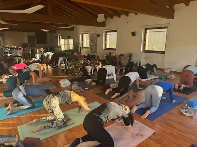 Pratiche di Yoga diversificate
