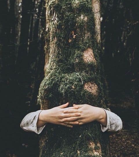 Tre giorni rigeneranti in natura